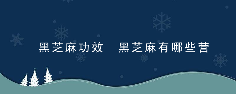 黑芝麻功效 黑芝麻有哪些营养价值